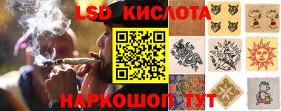 винт Волжский