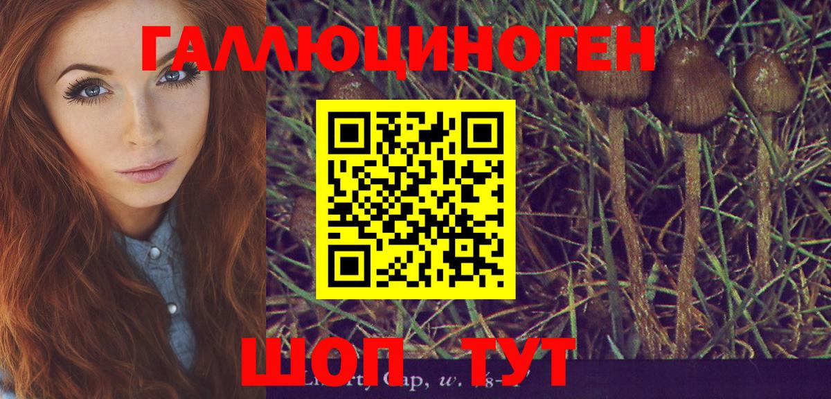 Псилоцибиновые грибы прущие грибы  Вход с VPN  Галлюциногенные грибы ЛСД  Сальск 