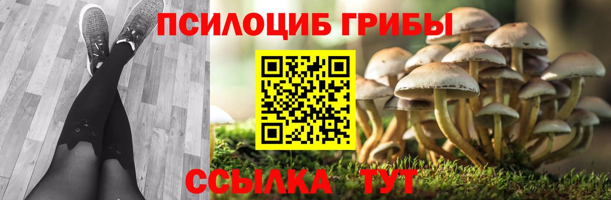 Псилоцибиновые грибы прущие грибы Сальск